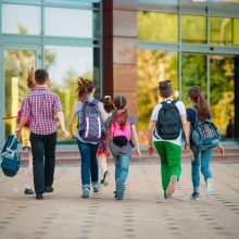 controles de acesso escolar brasil acesso